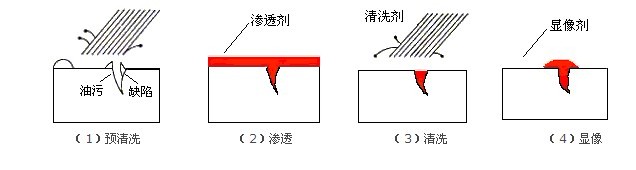 议渗透剂溶液分子的大小